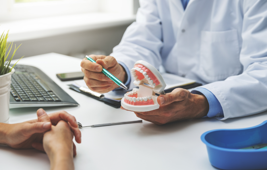 Dentist at desk showing patient model teeth